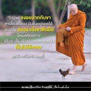 2020_25630708_เมตตาธรรม
