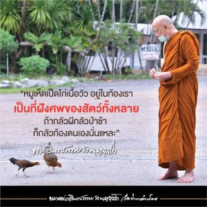 2020_25631102_เมตตาธรรม