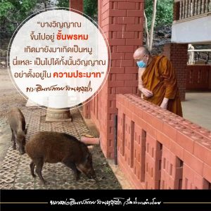 2021_25640322_เมตตาธรรม