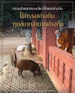 ออนไลน์-2566-2023-01-26_เมตตาธรรม-ชี้ขุมทรัพย์ให้